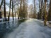 Stupňovité zamrzání řeky způsobilo další zajímavý úkaz - půl řeky zamrzlo a půl ne :)